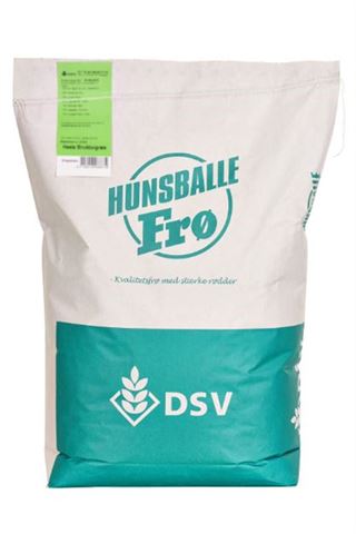 Bliv klogere på græsfrø til din græsplæne