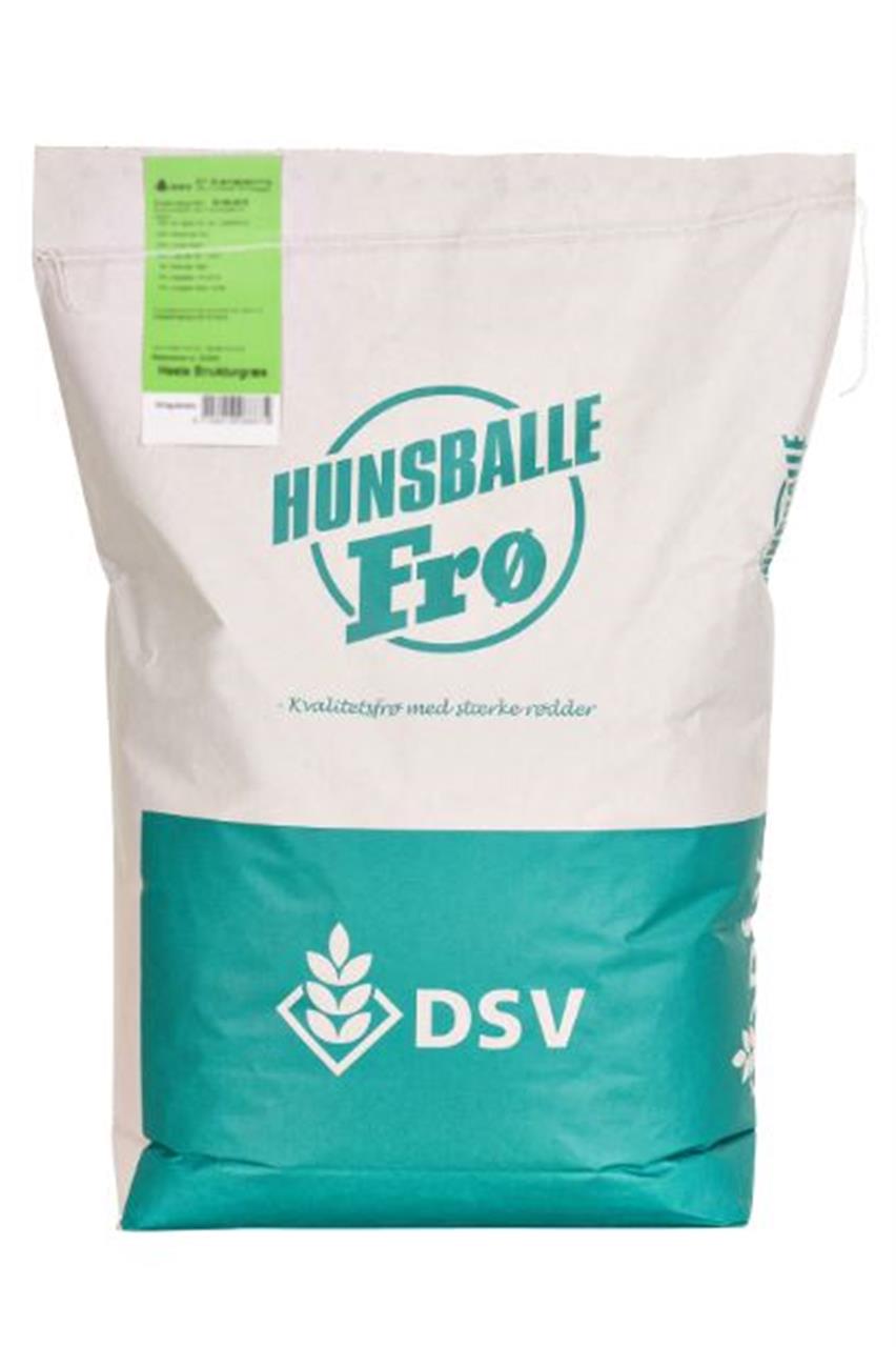 Bliv klogere på græsfrø til din græsplæne