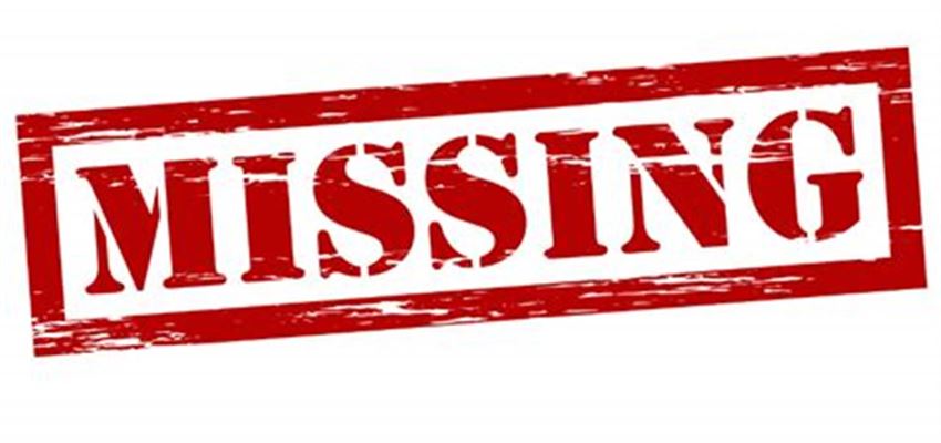 Find den perfekte hundeseng til din hund