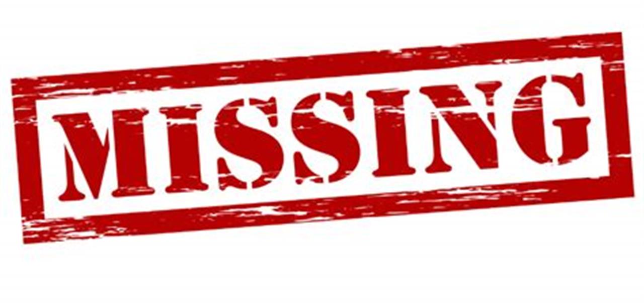 Find den perfekte hundeseng til din hund